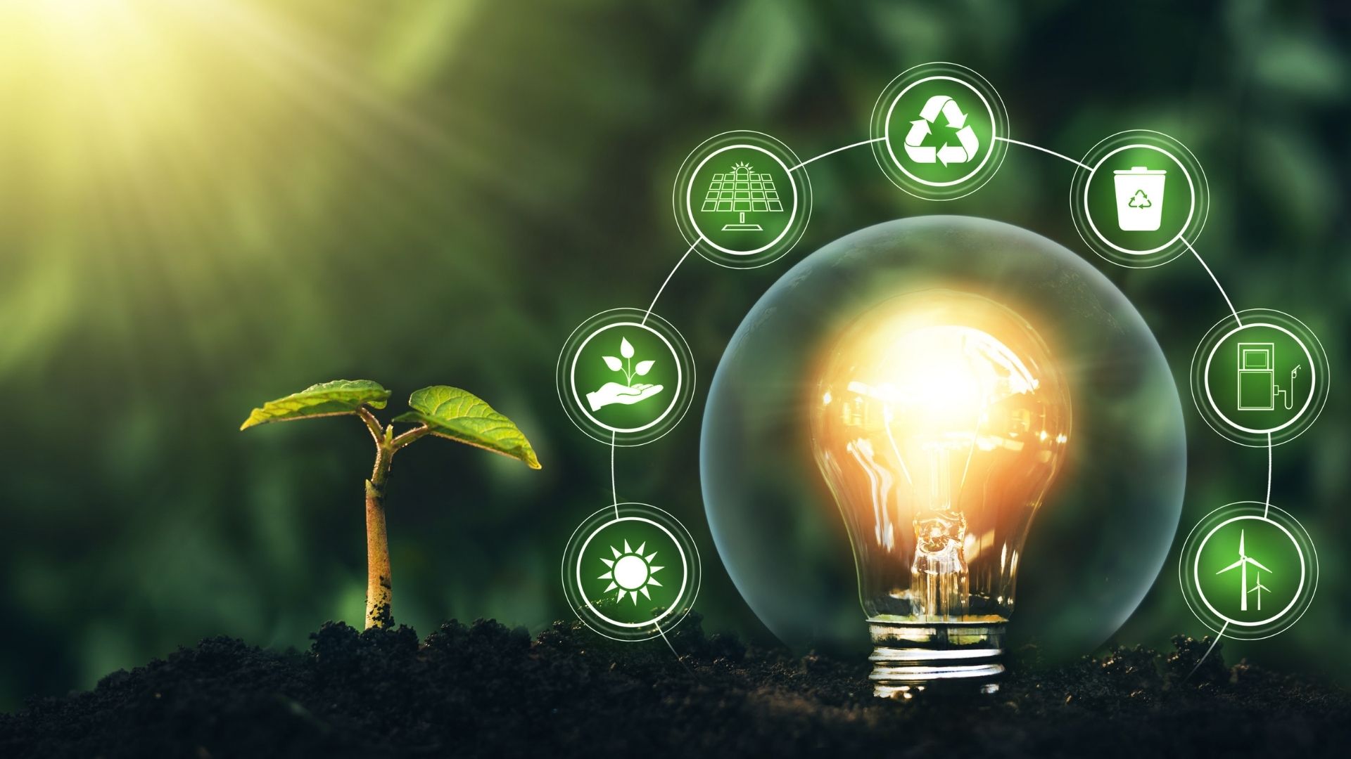 Renewable energy icons surrounding green energy in a transparent light bulb.