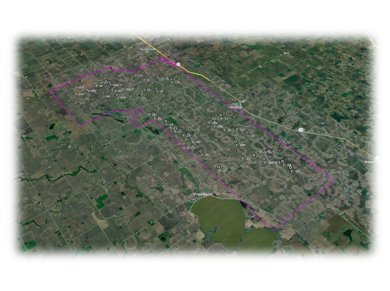 Figure 1: Birds-eye view of the wind farm site (outlined in pink) and turbine locations.