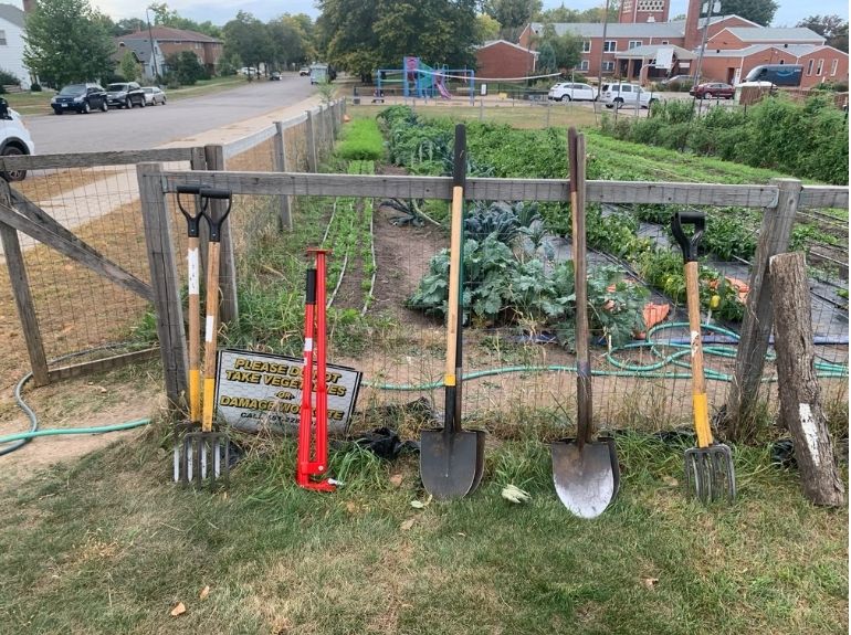 Market Garden urban agricultural plot